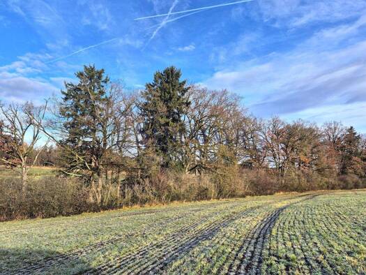 Forstwirtschaft zum Kauf 76.000 € Seefeld Drößling/Unering 82229