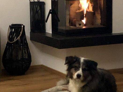 Wohnung zum Kauf 4 Zimmer 90 m² Thaur 6065