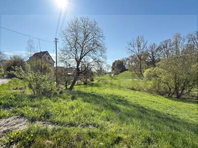 Einfamilienhaus zum Kauf 495.000 € 10 Zimmer 250 m² 11.200 m² Grundstück Wintersulgen Heiligenberg 88633