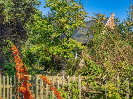 Einfamilienhaus zum Kauf 99.500 € 3 Zimmer 88 m² 1.287 m² Grundstück Ringenwalde Märkische Höhe Ringenwalde 15377