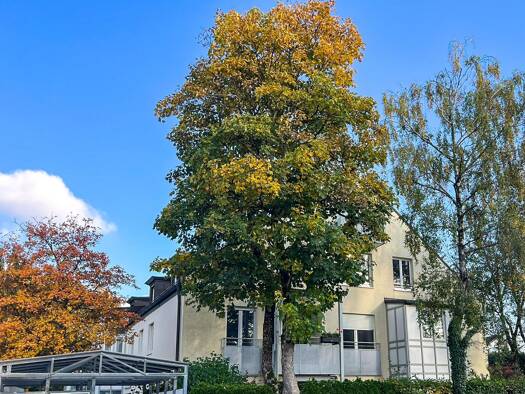 Wohnung zum Kauf 530.000 € 3 Zimmer 74,3 m² 1. Geschoss frei ab sofort Ramersdorf-Perlach München 81735