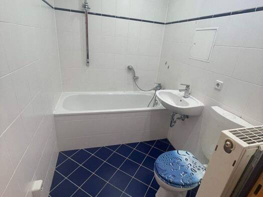 Wohnung zur Miete 338 € 3 Zimmer 61,5 m² 4. Geschoss frei ab sofort Elsterberger Straße 11 Lusan Gera 07549