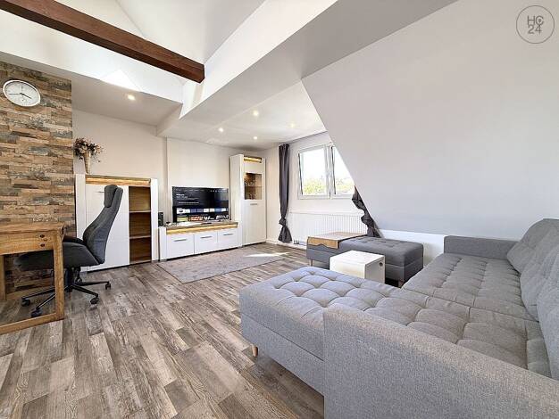 Wohnung zur Miete auf Zeit 1.295 € 2 Zimmer 61 m² frei ab 01.01.2027 Hasenbuck Nürnberg 90461