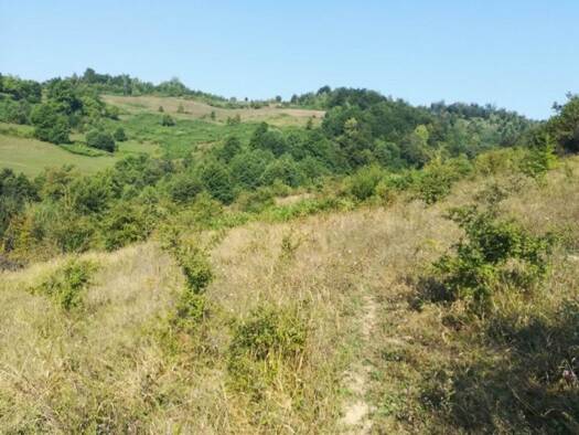 Grundstück zum Kauf 1.381.055 € 276.211 m² Grundstück Sarajevo 71000