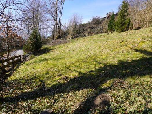 Grundstück zum Kauf 35.000 € 924 m² Grundstück Rönkhausen Finnentrop 57413