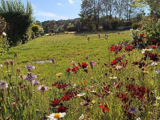 Grundstück zum Kauf provisionsfrei 70.000 € 808 m² Grundstück Bad Steben 95138