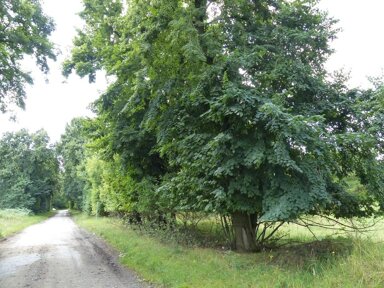 Gewerbegrundstück zum Kauf 1.600 € 2.506 m² Grundstück Knoblaucher Chaussee o. Nr. Etzin Ketzin 14669