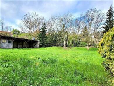 Grundstück zum Kauf 480.000 € 1.260 m² Grundstück Jena 07745