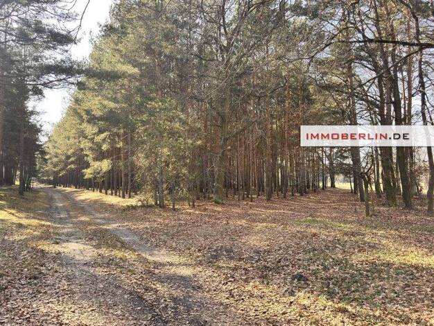 Land-/Forstwirtschaft zum Kauf 20.401 € 20.401 m² Grundstück Groß Leuthen Märkische Heide 15913