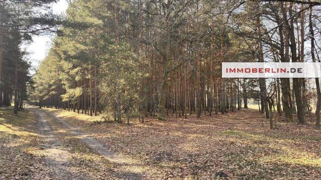 Land-/Forstwirtschaft zum Kauf 19.999 € 20.401 m² Grundstück Groß Leuthen Märkische Heide 15913