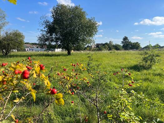 Grundstück zum Kauf provisionsfrei 4.946.490 € 9.699 m² Grundstück Paul-Ehrlich-Straße Heroldsberg Heroldsberg 90562