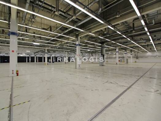 Halle/Industriefläche zur Miete 8.032 m² Lagerfläche teilbar ab 3.551 m² Schepersfeld Wesel 46485