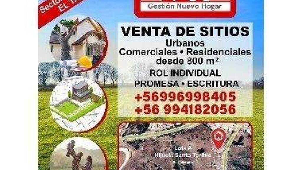 Büro zum Kauf 44.500.000 € El Tabo