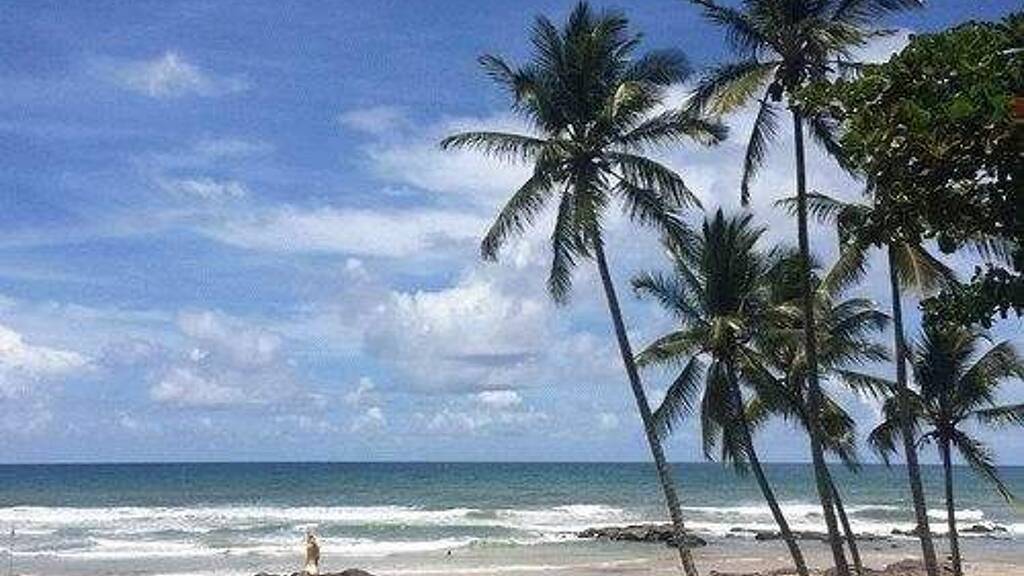 Einfamilienhaus zum Kauf 420.000 € 3 Zimmer 140 m² 40.000 m² Grundstück Ilheus/ Bahia 2x6x+BR