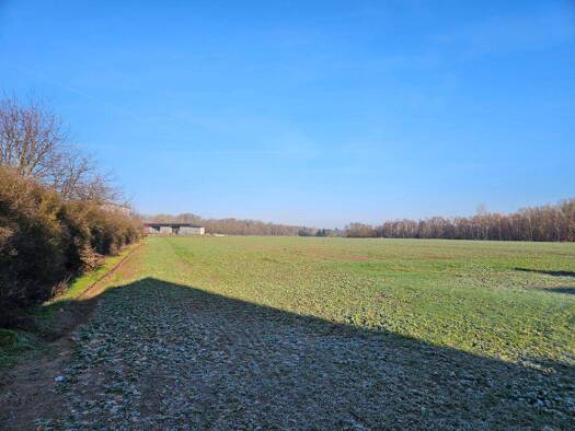 Einfamilienhaus zum Kauf - Erstbezug provisionsfrei 392.500 € 5 Zimmer 166 m² 657 m² Grundstück Mittelweg Velpke 38458