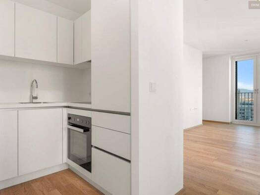 Wohnung zur Miete - Erstbezug 767 € 2 Zimmer 46 m² 11. Geschoss Wien 1220