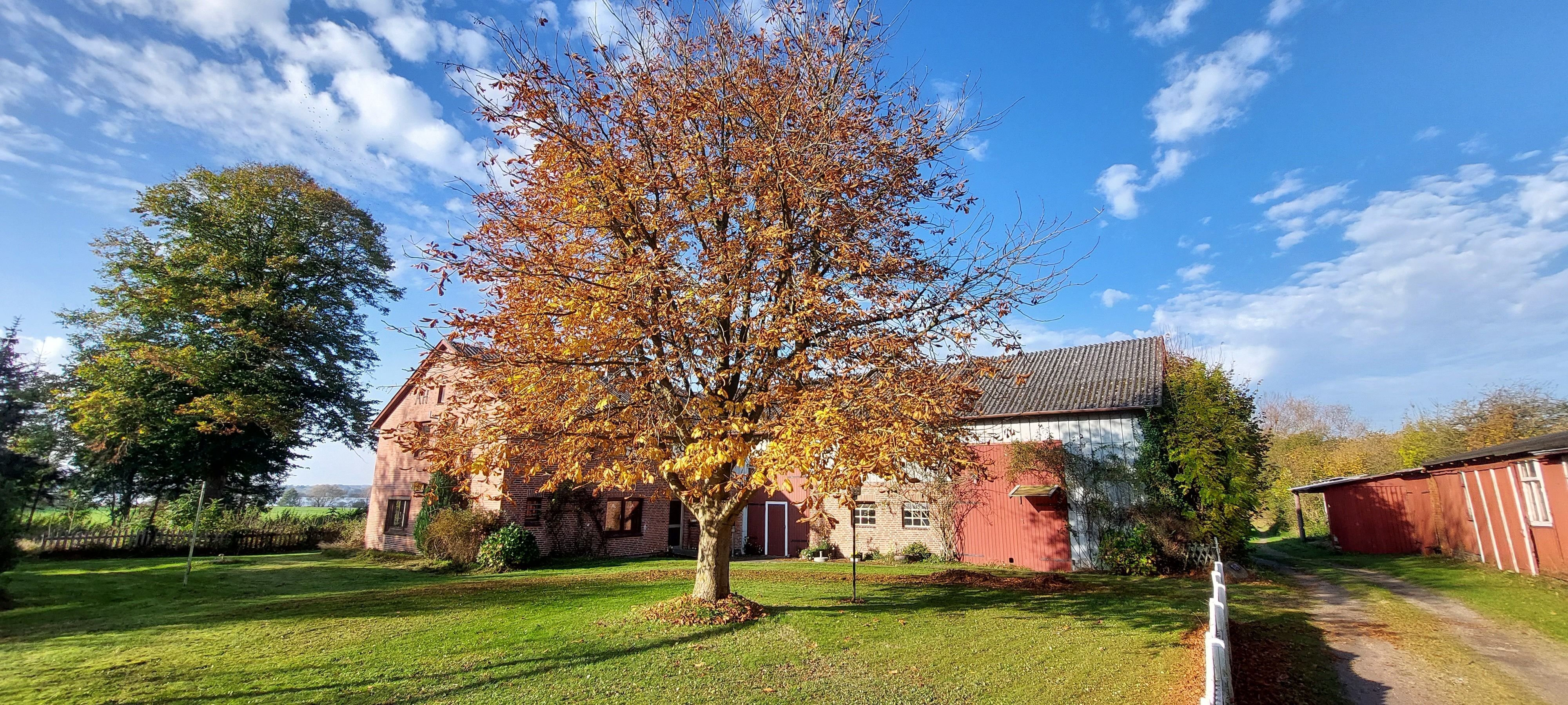 Bauernhaus zum Kauf 690.000 € 5 Zimmer 140 m²<br/>Wohnfläche 35.000 m²<br/>Grundstück ab sofort<br/>Verfügbarkeit Preetz 24211