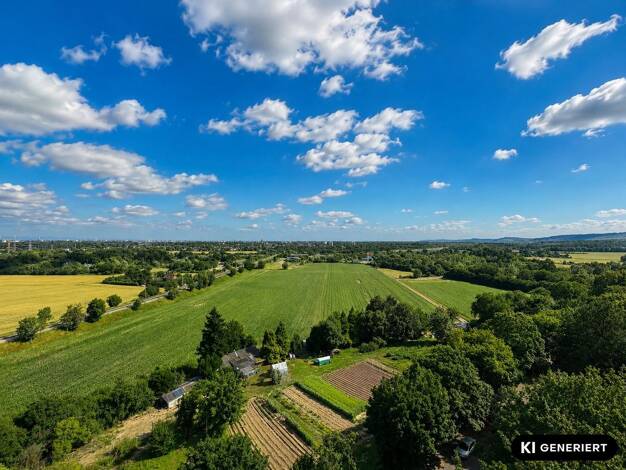 Penthouse zum Kauf 295.000 € 2 Zimmer 81 m² 9. Geschoss Ettlingen Ettlingen 76275