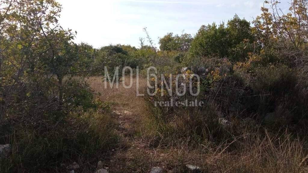 Land-/Forstwirtschaft zum Kauf 49.500 € Vodnjan Vodnjan