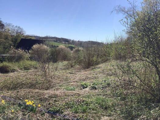 Grundstück zum Kauf provisionsfrei als Kapitalanlage geeignet 150.000 € 750 m² Grundstück Scheel Lindlar 51789