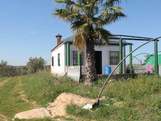 Bauernhaus zum Kauf provisionsfrei 88.000 € 2 Zimmer 100 m² 10.000 m² Grundstück Bollullos Par del Condado 21710