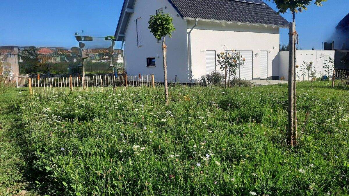 Einfamilienhaus zum Kauf - Ansicht 4