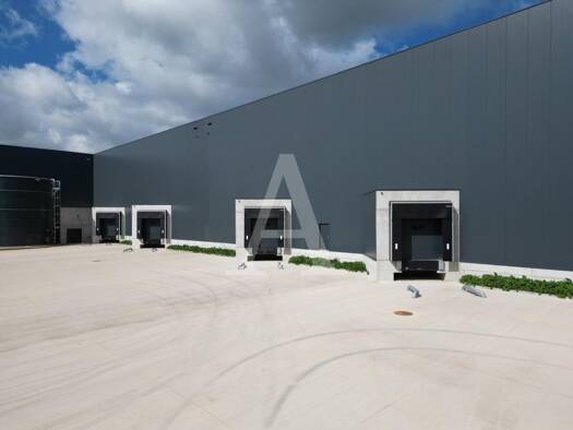 Halle/Industriefläche zur Miete 7.559 m² Lagerfläche teilbar ab 2.571 m² Paffendorf Bergheim 50126