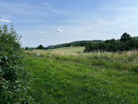 Grundstück zum Kauf provisionsfrei 218.830 € 554 m² Grundstück Rickenbach Salem , Baden 88682