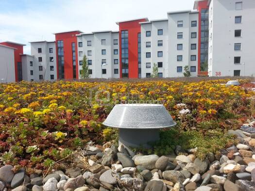 Sonstiges zum Kauf als Kapitalanlage geeignet 350.000 € 11 Zimmer 390 m² Oberwart 7400