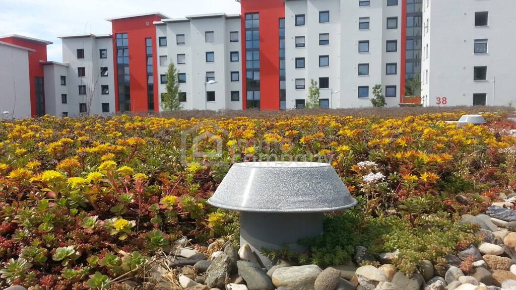 Sonstiges zum Kauf als Kapitalanlage geeignet 350.000 € 11 Zimmer 390 m² Oberwart 7400