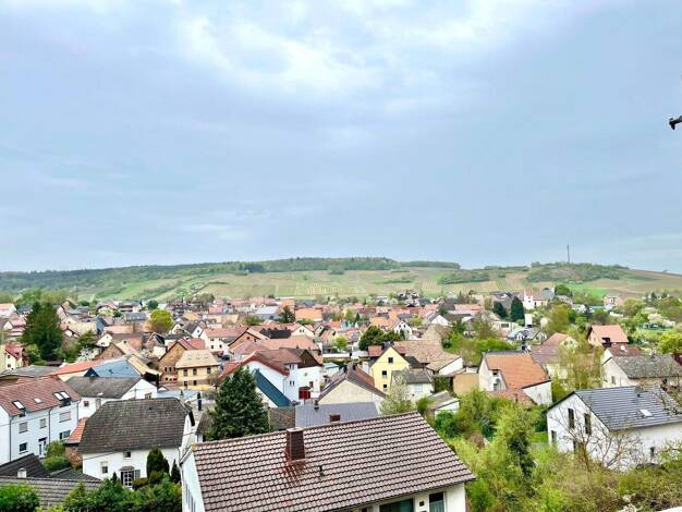 Einfamilienhaus zum Kauf 229.000 € 5 Zimmer 197,7 m² 584 m² Grundstück Frei-Laubersheim 55546