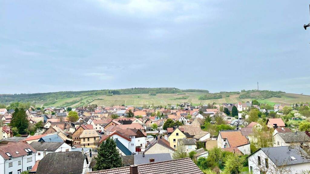 Einfamilienhaus zum Kauf 229.000 € 5 Zimmer 197,7 m² 584 m² Grundstück Frei-Laubersheim 55546