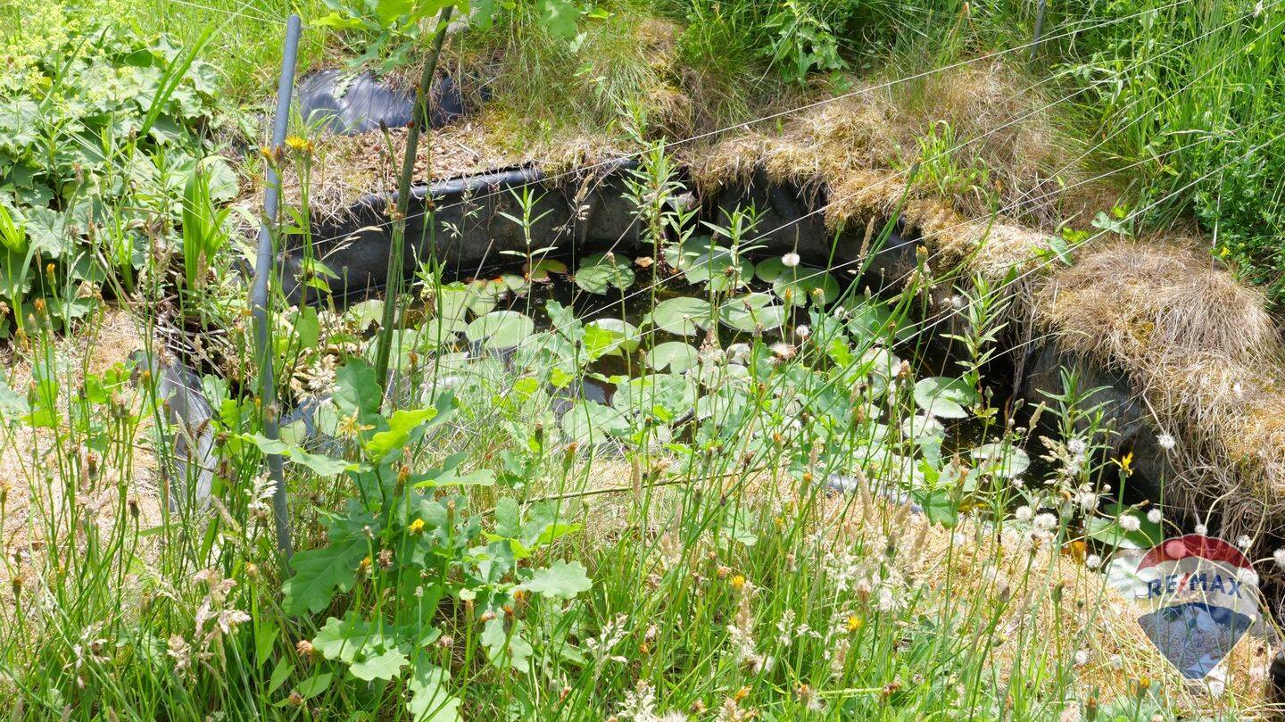 Property thumbnail 22