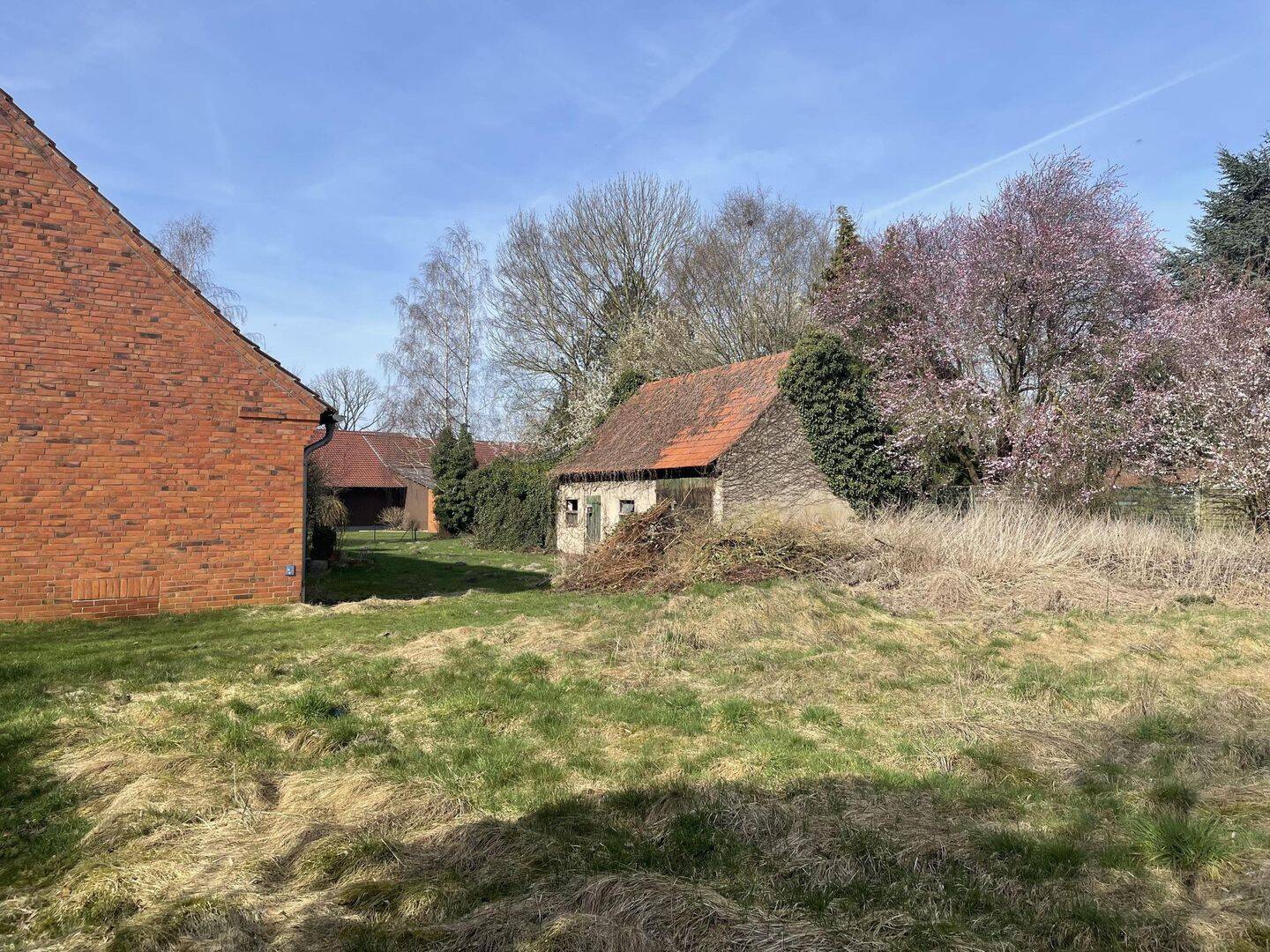 Immobilie in Sulingen - +++Einfamilienhaus mit Scheune in Klein Lessen+++ - Bild 3