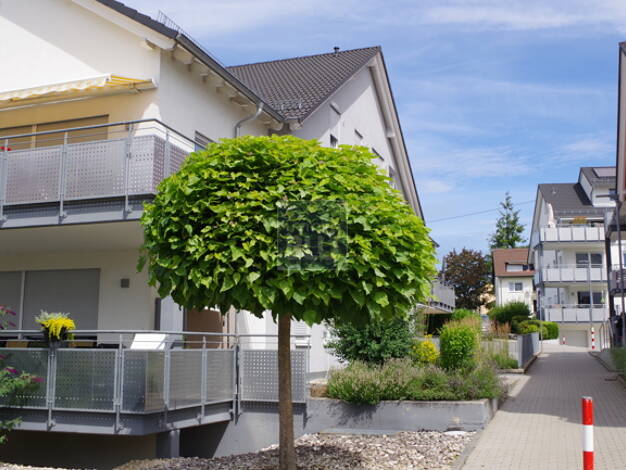 Maisonette zum Kauf 350.000 € 3 Zimmer 90 m² EG frei ab 01.08.2025 Am Schafgarten 22 Bad Rappenau Bad Rappenau 74906