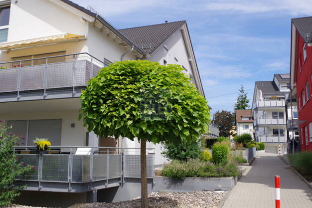 Maisonette zum Kauf 350.000 € 3 Zimmer 89,9 m² EG frei ab 01.08.2025 Am Schafgarten 22 Bad Rappenau Bad Rappenau 74906