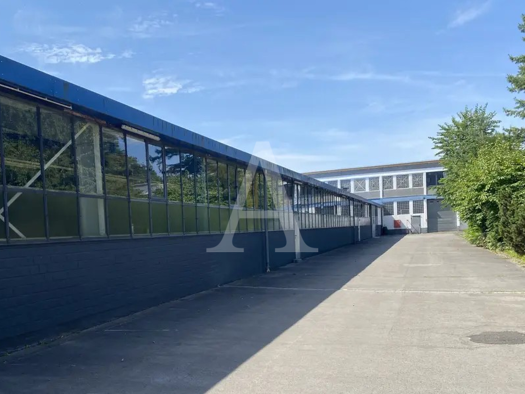 Halle/Industriefläche zur Miete 1.400 m² Lagerfläche teilbar ab 1.400 m² Sindorf Kerpen 50170