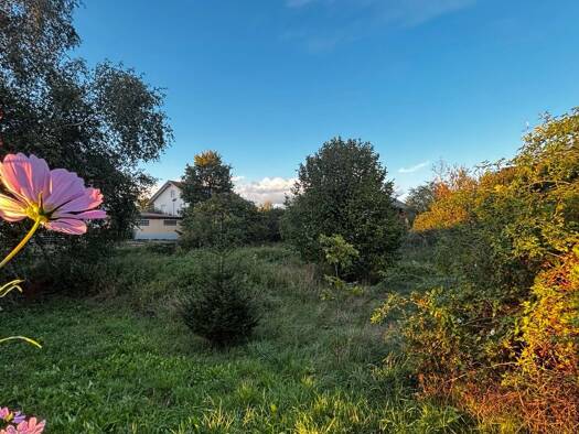 Grundstück zum Kauf 359.000 € 1.193 m² Grundstück Memminger Straße Ungerhausen 87781
