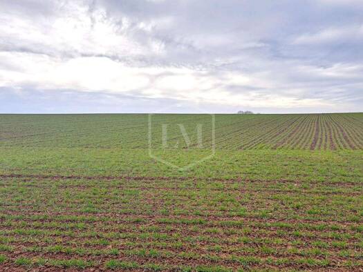 Landwirtschaftliche Fläche zum Kauf 1.395.000 € 341.560 m² Grundstück Seesen Seesen 38723