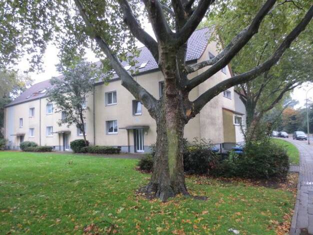 Wohnung zur Miete 409 € 3 Zimmer 54,5 m² Dachgeschoss frei ab 30.07.2025 Johannastr. 50 Horst Gelsenkirchen 45899
