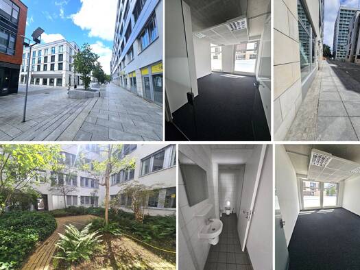 Bürofläche zur Miete provisionsfrei 3.540 € 6 Zimmer 236 m² Bürofläche Seevorstadt-Ost/Großer Garten Ortsamtsbereich Altstadt 01069