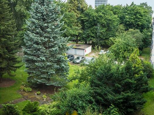 Wohnung zur Miete 1.290 € 2,5 Zimmer 69 m² Geschoss 2/3 frei ab 01.03.2026 Uhlenhorst Hamburg 22081