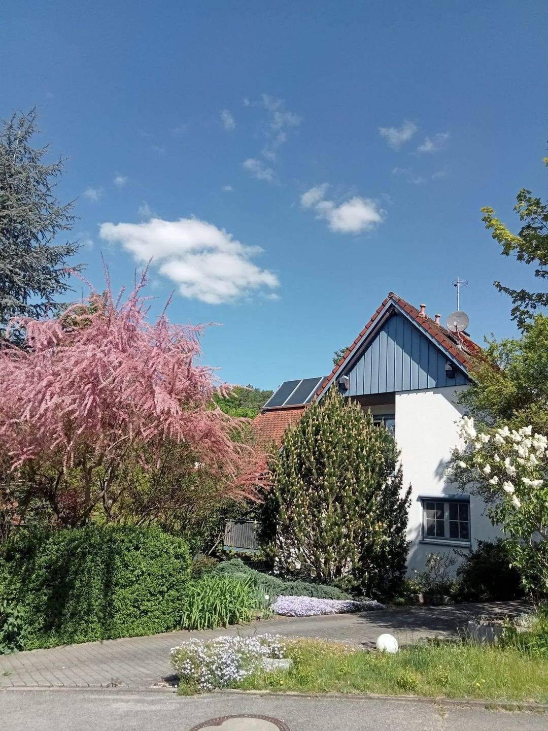 Haus zum Kauf - Ansicht 4