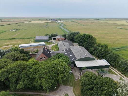 Einfamilienhaus zum Kauf 1.175.000 € 6 Zimmer 102 m² 29.256 m² Grundstück Westerhever 25881