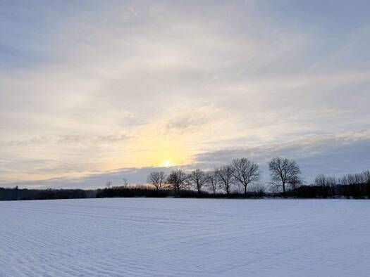 Grundstück zum Kauf provisionsfrei 270.000 € 1.000 m² Grundstück Tremsbüttel 22967