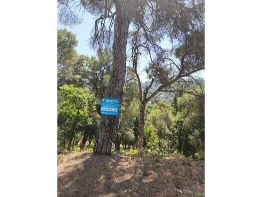 Wohn- und Gewerbegrundstück zum Kauf 320.000 € Sant Cugat del Vallès 08196