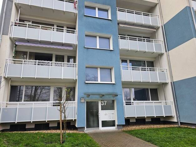 Wohnung zur Miete 490 € 2,5 Zimmer 51 m² 1. Geschoss frei ab 01.09.2027 Indestr. 37 Eschweiler Eschweiler 52249