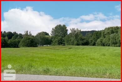 Grundstück zum Kauf 245.000 € 20.471 m² Grundstück Drachselsried Drachselsried 94256