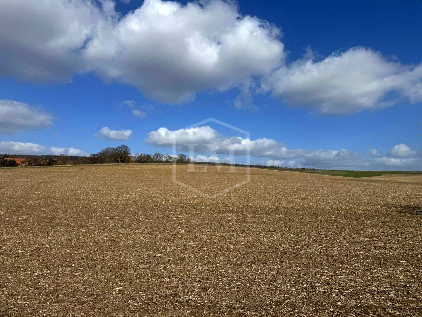 Landwirtschaftliche Fläche zum Kauf - Ansicht 4