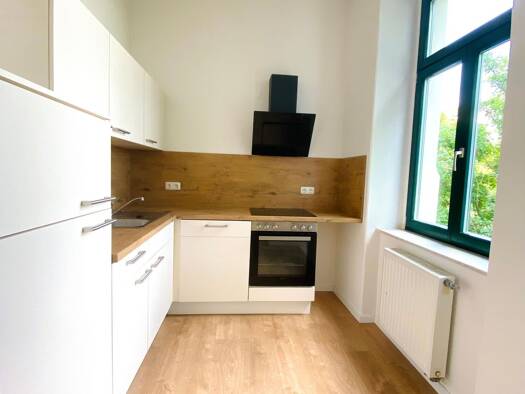 Studio zur Miete 359 € 1 Zimmer 30 m² EG Immermannstr. 8 Stadtfeld Ost Magdeburg 39108